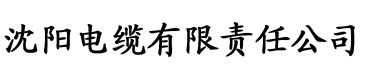 大菠萝污视频电缆厂logo